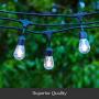 Brightech Ambience Pro Solar - 27 Ft Edison Bulb Outdoor String Lights - Hanging 2W LED Patio Lights Create Old Italian Market Look & Feel in Your Yard - Commercial Grade Waterproof & Weatherproof
