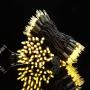 Warm White LED String Lights with Brown Wire, 66 Feet 200 LED Commercial Grade Christmas Light Set, Connectable Decor Lights for Patio Garden Halloween Holiday (Warm White - Brown Wire)