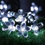 Solar Flower String Lights，22ft 50 Led Cherry Blossoms String Lights Outdoor Waterproof Solar Powered Fairy Lights for Outdoor,Garden, Patio (White)