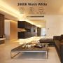 LE 16.4ft Dimmable LED Strip Light Kit with 12V Power Supply, 300 LEDs SMD 2835, Non-Waterproof Tape, Flexible Rope Light for Home, Kitchen, Under Cabinet, Bedroom and More, Warm White