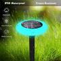Solar Path Lights Outdoor,7 Color Solar Pathway Lights Outdoor Powered Lights Landscape Lighting Weatherproof Auto On/Off for Garden Lawn Patio Yard Walkway Sidewalk Driveway (Pack 4)
