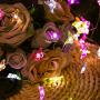 Frienda Butterfly String Lights, 10ft 40 LEDs Battery Operated 12 Modes Summer Fairy Light Decor for Bedroom Party Garden Wedding with Remote and Timer