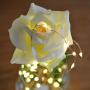 Sanniu Led Fairy Lights, Mini 3AAA Battery Powered Copper Wire Starry Fairy Lights, Battery Operated Lights for Bedroom, Christmas, Parties, Wedding, Centerpiece, Decoration (5m/16ft Warm White)