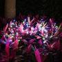 Solar Garden Decorative Lights Outdoor,2 Pack Beautiful LED Solar Powered Fairy Landscape Tree Lights,Two Mode Flower Lights for Pathway Patio Yard Deck Walkway Christmas Decoration