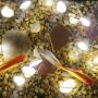 Joyathome Seashell String Lights 13.85ft 40 Warm White Led Waterproof Battery Operated Beach Themed String Lights for Bedroom Wedding Holiday Party Garden Indoor Outdoor Decorations