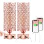 Pink Touch Crystal Lamp Set of 2 with Dual USB Ports, Rose Gold Bedside Lamp, 3 Way Dimmable Nightstand Lamps Desk Light for Bedroom Living Room(Included ST 64 Bulbs)