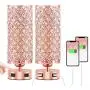 Pink Touch Crystal Lamp Set of 2 with Dual USB Ports, Rose Gold Bedside Lamp, 3 Way Dimmable Nightstand Lamps Desk Light for Bedroom Living Room(Included ST 64 Bulbs) Pink Touch Crystal Lamp Set of 2 with Dual USB Ports, Rose Gold Bedside Lamp, 3 Way Dimmable Nightstand Lamps Desk Light for Bedroom Living Room(Included ST 64 Bulbs)