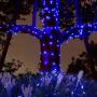 2 Pack Solar String Light Outdoor , 78 Feet 240 LED Outdoor Waterproof Copper Wire 8 Modes Fairy Lights for Garden, Patio,Yard, Christmas, Home, Wedding, Party Decoration (Blue) 2 Pack Solar String Light Outdoor , 78 Feet 240 LED Outdoor Waterproof Copper Wire 8 Modes Fairy Lights for Garden, Patio,Yard, Christmas, Home, Wedding, Party Decoration (Blue)