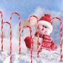 Ultimate Unicorn 26'' Christmas Candy Cane Lights Decoration, 6PCS Pathway Makers Lights for Landscape (Include Stakes)