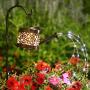 AMWGIMI Garden Solar Lights Pathway Outdoor,Dew Drop Water Can Garden Stake Metal Lights Decorative Yard Art Waterproof LED Garden Lights,for Patio Yard Walkway Pathway Lawn Decorations