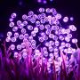 Sheila 65.6 Feet 200LED String Lights 8 Mode Flashing Controller Fairy Twinkle Decorative Lights for Kids Bedroom, Wedding, Chirstmas Tree, Festival Party, Garden, Patio, Room Decoration (Purple)