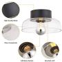 TeHenoo Semi Flush Mount Ceiling Light,Seeded Glass Shade Ceiling Light Fixture for Dining Room,Cafe, Bar, Corridor, Hallway, Entryway, Passway