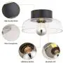TeHenoo Semi Flush Mount Ceiling Light,Seeded Glass Shade Ceiling Light Fixture for Dining Room,Cafe, Bar, Corridor, Hallway, Entryway, Passway