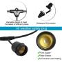 VAVOFO 48FT Warm White Outdoor String Lights Indoor, 1.5W Dimmable LED Heavy Duty Hanging Patio String Lights, Commercial Grade, Waterproof, UL Listed