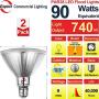 Explux LED PAR38 Yellow Spot Bug Light Bulbs, Dimmable, Full-Glass Weatherproof, 90W Equivalent, 2-Pack