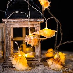 Natural Conch LED String Lights Battery Operated,9.18 FT 10 LED Waterproof Decorative Ocean Lights for Bedroom,Parties,Halloween,Thanksgiving,Christmas(Warm White)