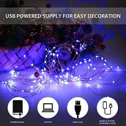 Ariceleo USB Powered Fairy Lights, 50 led 16 ft. USB Plug in Copper Wire USB String Lights for Bedroom Christmas Decoration Wedding Party Firefly Lights (Blue,1 Pack)