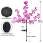 HeyMate Solar Garden Lights Outdoor 2 Pack Solar Purple Orchid Flower Lights Waterproof Solar Christmas Decorative Lights for Patio,Yard,Backyard,Pathway HeyMate Solar Garden Lights Outdoor 2 Pack Solar Purple Orchid Flower Lights Waterproof Solar Christmas Decorative Lights for Patio,Yard,Backyard,Pathway