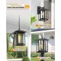 Beionxii Outdoor Pendant Light | Exterior Hanging Lantern, Chain Adjustable, Sand Textured Black with Clear Glass - A197H-1PK