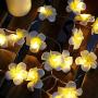 Plumeria String Lights, Fantasee Foam Artificial Plumeria Flower Led String Lights Battery Operated Fairy Lights for Bedroom Home Wedding Hawaiian Luau Party Decor (9.8ft 20LED, Warm White)