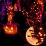 Twinkle Star 66FT 200 LED Indoor String Lights, Plug in String Light 8 Modes Waterproof for Outdoor Halloween Christmas Wedding Party Bedroom Decorations (Orange)