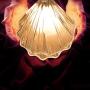 SAMGREEN LED Mood Light Shell Pearl Night Light Lamp for Living Room Bedroom, Table lamp Night Lamp for Home Deco Decoration (Clear)