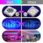 Deerdance Smart LED Strip Lights, 32.8feet Works with Alexa Google Assistant APP Control Music Sync 16 Million Colors 5050 RGB WiFi Light Strip for Bedroom TV Ceiling Kitchen Cabinet Party