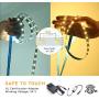 Lyhope LED Strip Lights, 26.3ft Tunable White LED Tape Lights with RF Remote, 24V Dimmable 3000K-6500K 896 LED Christmas Lights for Home Bedroom Kitchen Bar Decoration (Daylight Warm White)