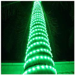 Russell Decor LED Rope Lights Festival Holiday Party Seasonal Christmas Decoration 30ft - 200ft Customized Available (Green, 10)