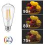 ST19(ST58) Dimmable Vintage LED Edison Bulb, Warm White 2700K,CRI>90,No Flicker,6W Equivalent to 60W, Antique LED Filament Bulbs,600LM E26 Medium Base, Clear Glass (ST19-2700K-6PACK)