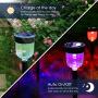 Solar Pathway Lights, YoungPower LED Solar Lights Outdoor Color Changing Solar Garden Lights Waterproof Auto On/Off Multi Color Wireless Sun Powered Landscape Lighting for Patio Walkway, 8 Pack