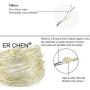 ER CHEN Multicolor Fairy Lights Plug in, 66ft 200 LED Starry String Lights Dimmable with Remote Control, Waterproof Copper Wire Decorative Lights for Bedroom, Patio, Garden, Yard, Party