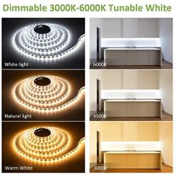 Novostella 40ft Tunable White LED Strip Light Dimmable 3000K-6000K 24V Remote Flexible LED Tape for Christmas Living Room Cabinet Counter Bedroom Home Lighting Kitchen Bar Ceiling Daylight Warm White