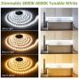 Novostella 40ft Tunable White LED Strip Light Dimmable 3000K-6000K 24V Remote Flexible LED Tape for Christmas Living Room Cabinet Counter Bedroom Home Lighting Kitchen Bar Ceiling Daylight Warm White