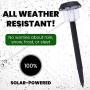 Signature Garden 8 Pack Solar Garden Lights - Super-Bright 15 Lumens; Makes Garden Pathways & Flower Beds Look Great - Easy NO-Wire Install; All-Weather/Water-Resistant (Plastic, Black)