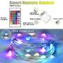 YoTelim LED Fairy Lights Battery Operated Outdoor 2Pack 33FT LED String Lights with Remote, 16 Color Changing Lights 100LEDs Twinkle Firefly Lights for Bedroom Party Wedding Christmas, Patio