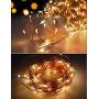 Photo Clip String Lights - 33Ft String Light with Clips, 100 LED Fairy String Lights with 50 Clear Clips, 8 Modes USB Powered Warm White Lighting for Patio Halloween Christmas Party Wedding Decor