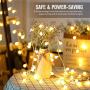 Fairy Globe String Lights 60 LED USB Power 19.7ft Ball String Lights with Remote control, Waterproof Ball String Lights for Bedroom, Indoor Outdoor, Party, Wedding, Christmas, Garden Decor, Warm White