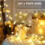 Fairy Globe String Lights 60 LED USB Power 19.7ft Ball String Lights with Remote control, Waterproof Ball String Lights for Bedroom, Indoor Outdoor, Party, Wedding, Christmas, Garden Decor, Warm White