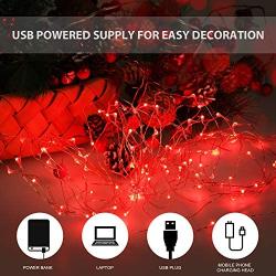 Ariceleo USB Powered Fairy Lights, 50 led 16 ft. USB Plug in Copper Wire USB String Lights for Bedroom Christmas Decoration Wedding Party Firefly Lights (Red,1 Pack)