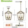 4-Light Chandelier Ceiling Light Fixture, Metal Lantern Pendant Lighting for Hallway, Entryway and Dinning Room, 18'' H x 12'' W, Soft Gold Finish, ETL Listed