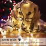 [IP65 Waterproof] Christmas String Lights Outdoor, 50 LED Fairy Lights Battery Operated 16.4Ft Green Cable with 8 Modes, Timer and Memory for Xmas Tree, Halloween, Party, Wedding, Garden - 2 Pack