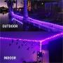 iiEASEST Purple Led Fairy String Lights Halloween Christmas, 100 LED 33 Feet Copper Wire Micro Mini Twinkle Starry Lights with Remote for Tree Bedroom Party Wedding Christmas Halloween Decoration