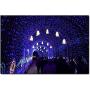 Qunlight Solar Fairy String Lights 72ft 200 LED Outdoor Waterproof USB Solar Powered 2 Modes with Timer Function Decorative Lighting for Patio Law Xmas Garden Homes Party Decore(Blue 2pcs)