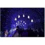 Qunlight Solar Fairy String Lights 72ft 200 LED Outdoor Waterproof USB Solar Powered 2 Modes with Timer Function Decorative Lighting for Patio Law Xmas Garden Homes Party Decore(Blue 2pcs)