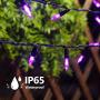 HAYATA 200 LED Purple String Lights - 65ft 30V Mini Bulb Halloween String Light for Outdoor Indoor Decor, Waterproof Fairy Lighting for Garden, Yard, Home, Bedroom, Curtain, Halloween Party Decoration