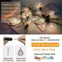 ZOTOYI 100Ft Outdoor Patio Lights LED String Lights 2700K Warm White Commercial Grade Waterproof IP65 Backyard Lights with 50+2Pcs Diamond Clear Blubs for Garden Party Wedding
