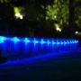 Lychee 16.5ft 50LED Waterproof Solar Power String 1.2 V, Daylight White, with Light Sensor, Outdoor Rope Lights, Ideal for Christmas, Party, Wedding (Blue)