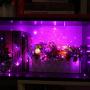 YIHONG Christmas Fairy String Lights USB Powered, 33ft Twinkle Lights with RF Remote, Color Change Firefly Lights - 13 Colors