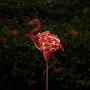 Solar Flamingo Garden Lights, NIORSUN Metal Flamingo Stake Outdoor Art Decorations IP65 Waterproof for Christmas Decor, Garden, Pathway, Courtyard, Lawn